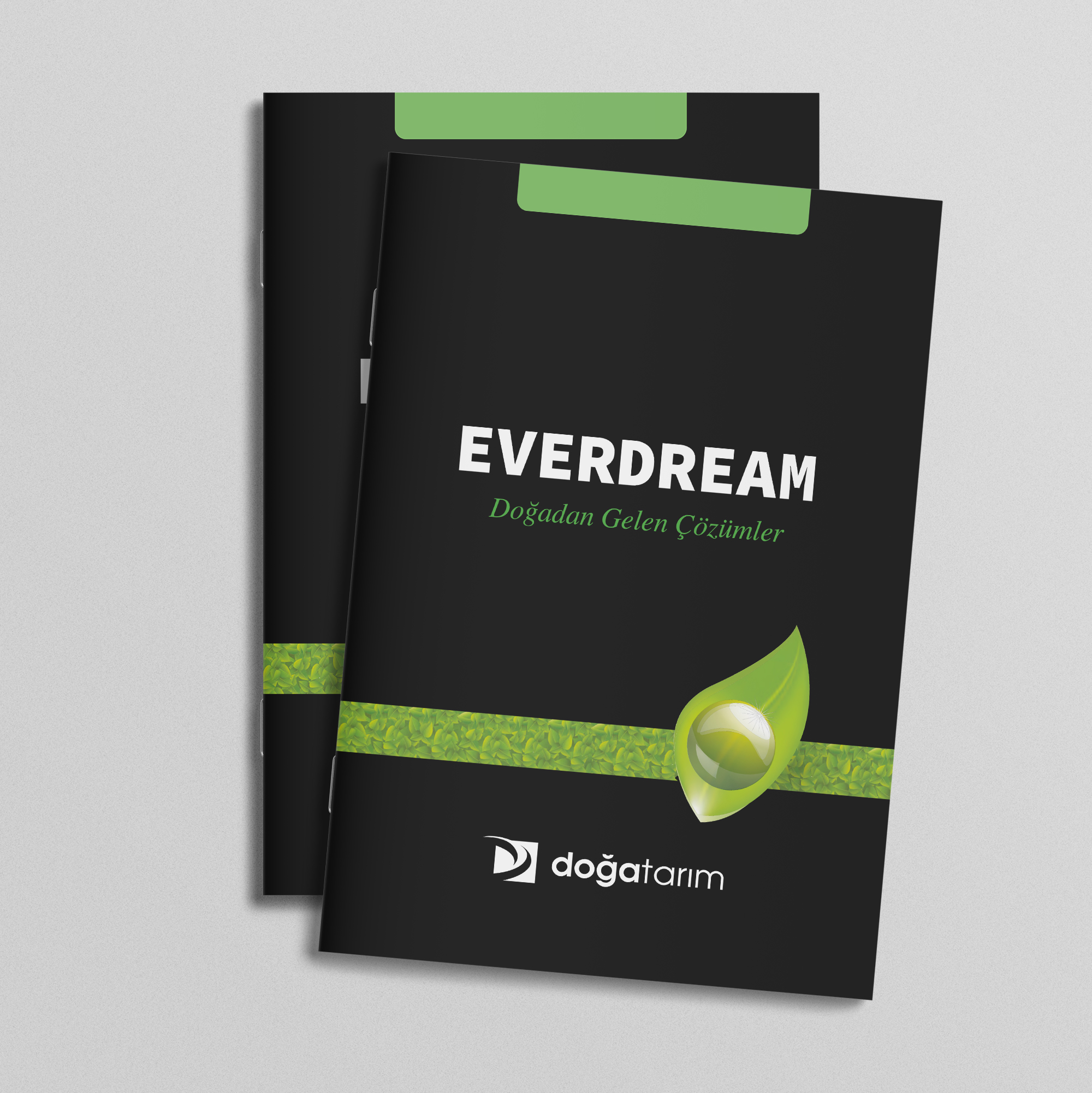 Everdream Ürün Kataloğu
